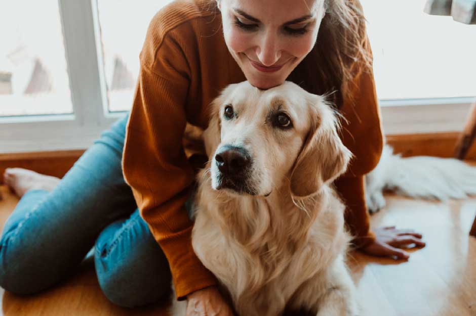 A Guide to Pet-Proofing Your Home