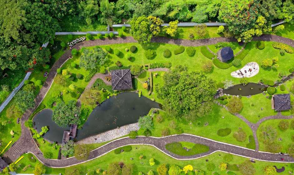 5 Common Landscaping Mistakes That Make Your Yard High-Maintenance