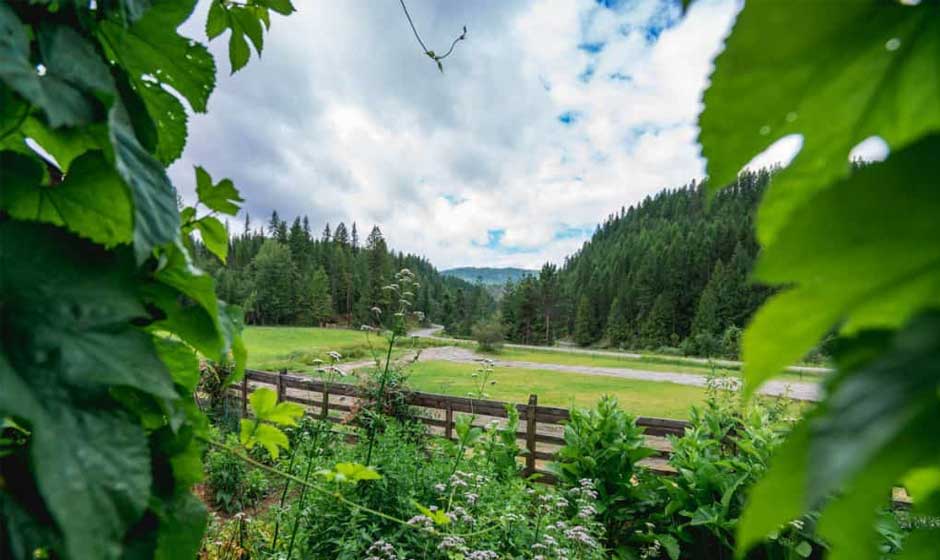 5 Data-Driven Projects for a Homestead