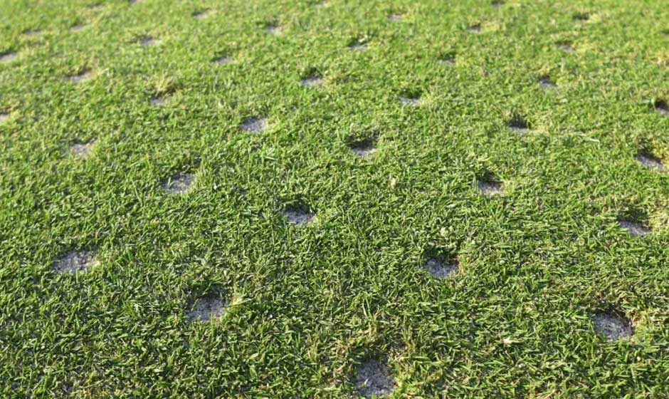 When to Aerate, Fertilize, and Seed for a Year-Round Healthy Lawn