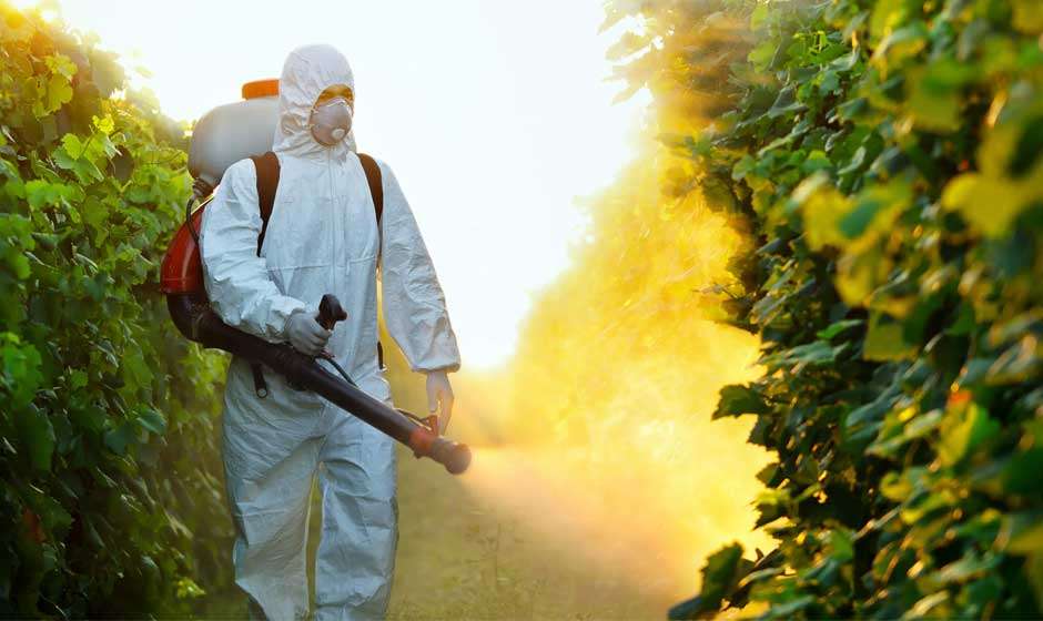 Analysing the use of Personal Protective Equipment in Agriculture