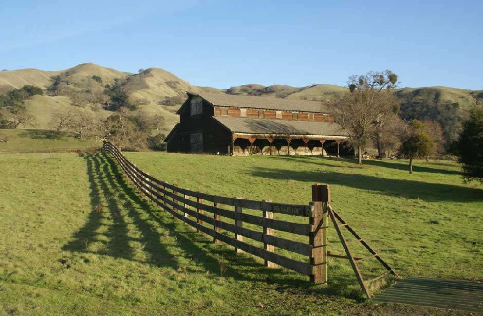 Natural Privacy Solutions for Farmhouse Yards