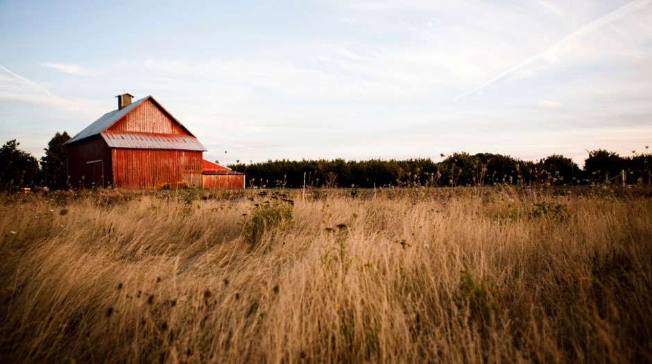 Expert Advice on Building a Pole Barn for Farming, Storage, or Workshop