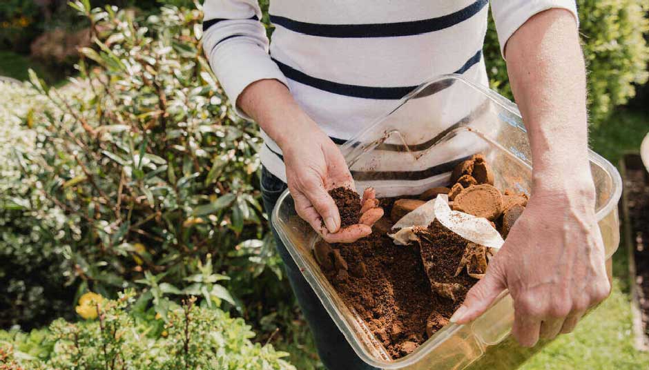 What Does Using Coffee Grounds Do for Your Garden and Soil