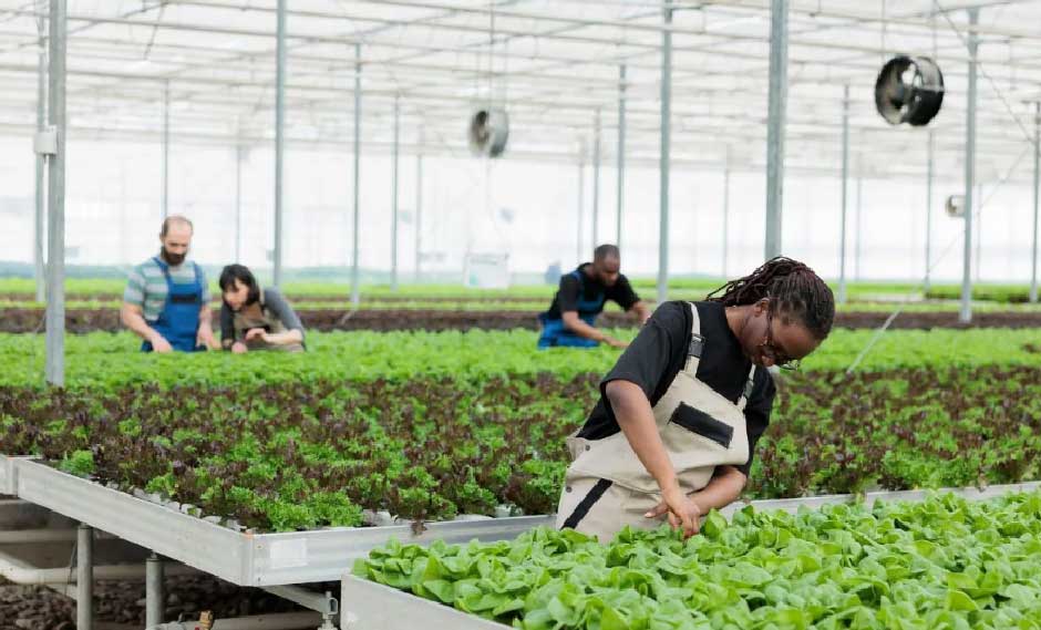 Why Get Insurance for Your Organic Farming Business & How to Get It?
