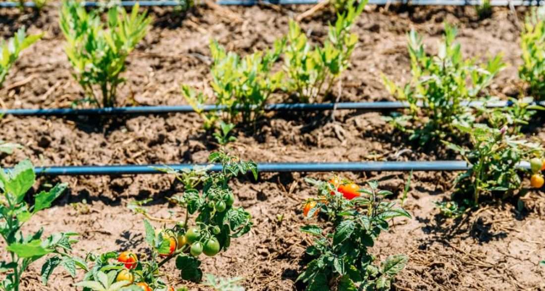 Benefits of Installing an Efficient Irrigation System