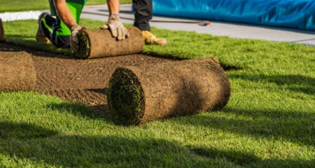 Benefits of Professional Sodding Installation for Lawns